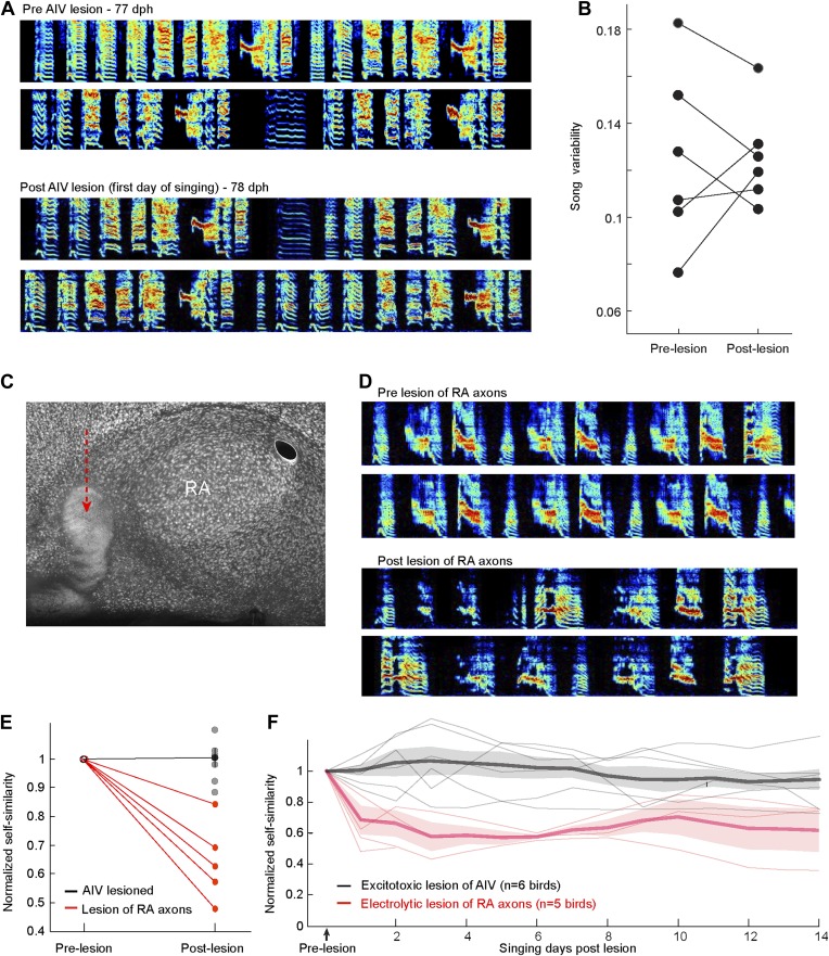 Figure 6—figure supplement 1.