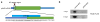 Extended Data Figure 9