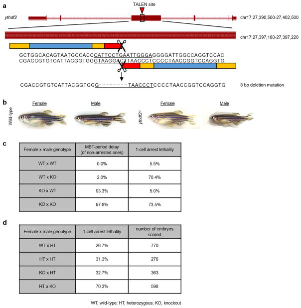 Extended Data Figure 1