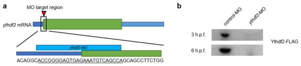 Extended Data Figure 9