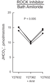 Fig. 10.