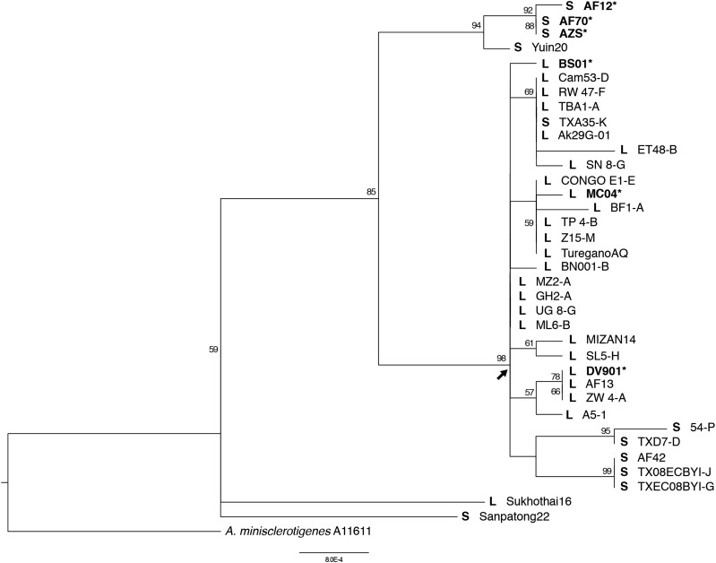 Figure 6