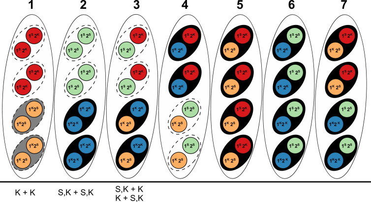 Appendix 2—figure 2.