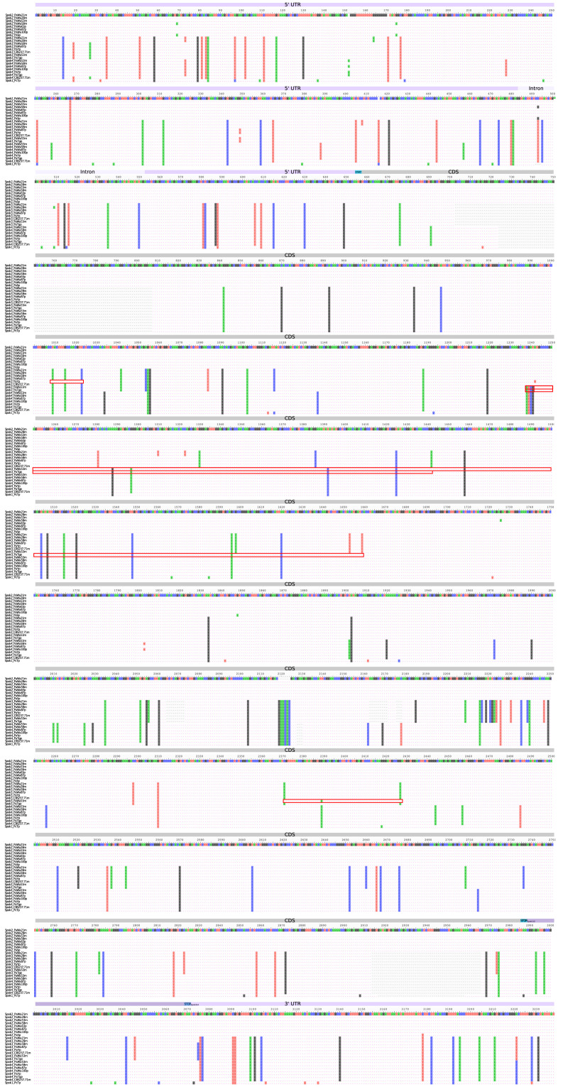 Figure 2—figure supplement 1.