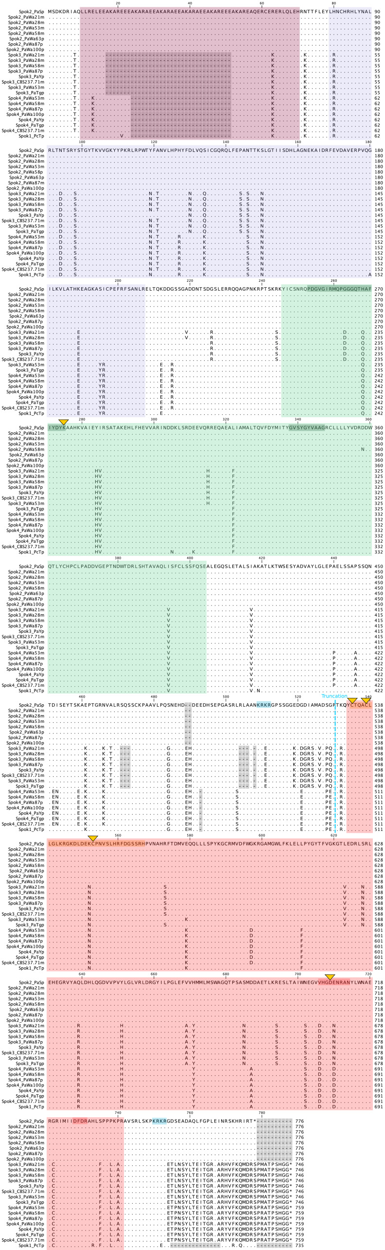 Figure 6—figure supplement 1.