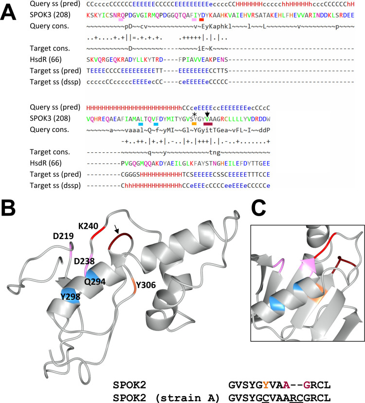 Figure 6—figure supplement 2.