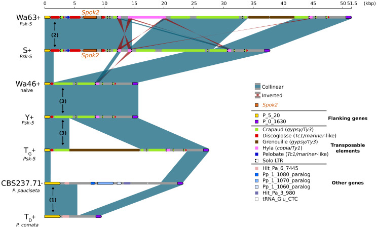 Figure 3.