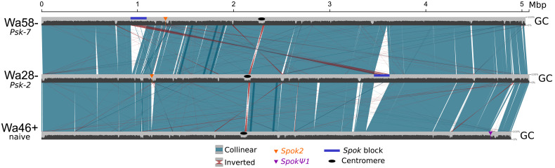 Figure 5—figure supplement 1.