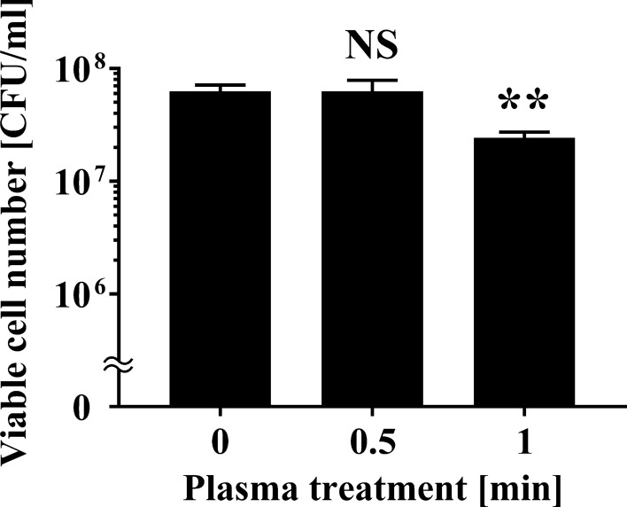 Fig. 8