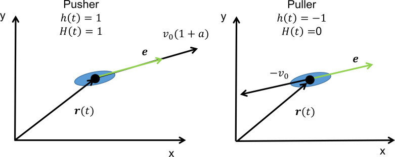 Appendix 4—figure 1.