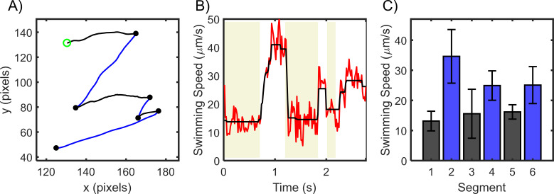 Appendix 6—figure 1.