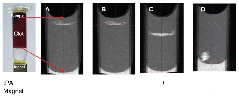 Figure 12