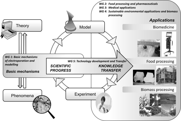 Fig. 3