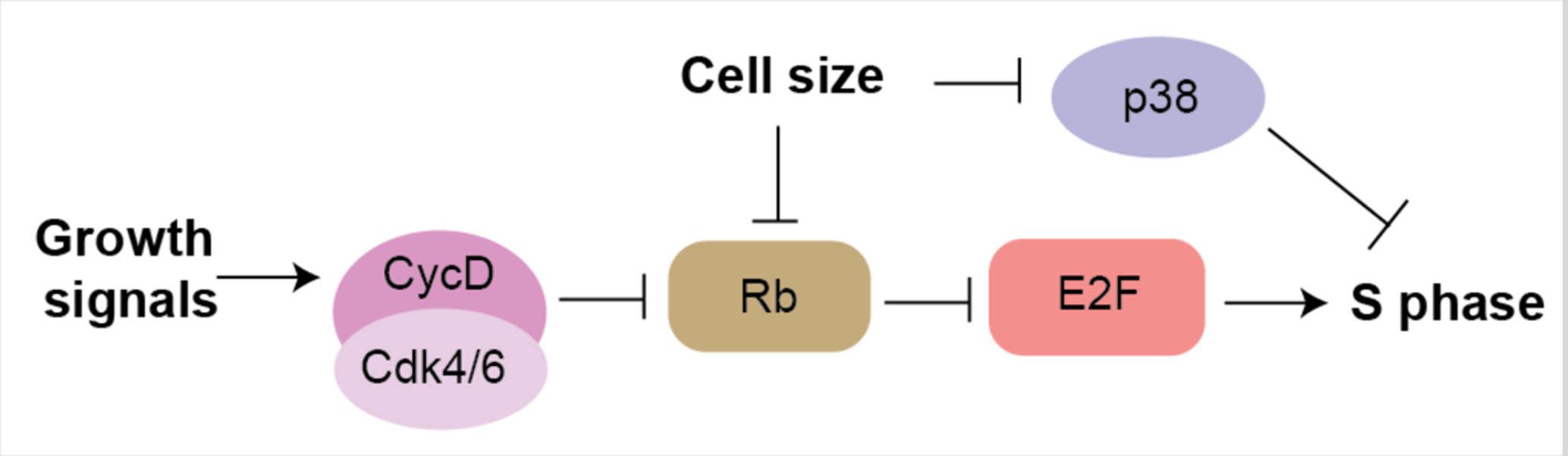 Figure 4: