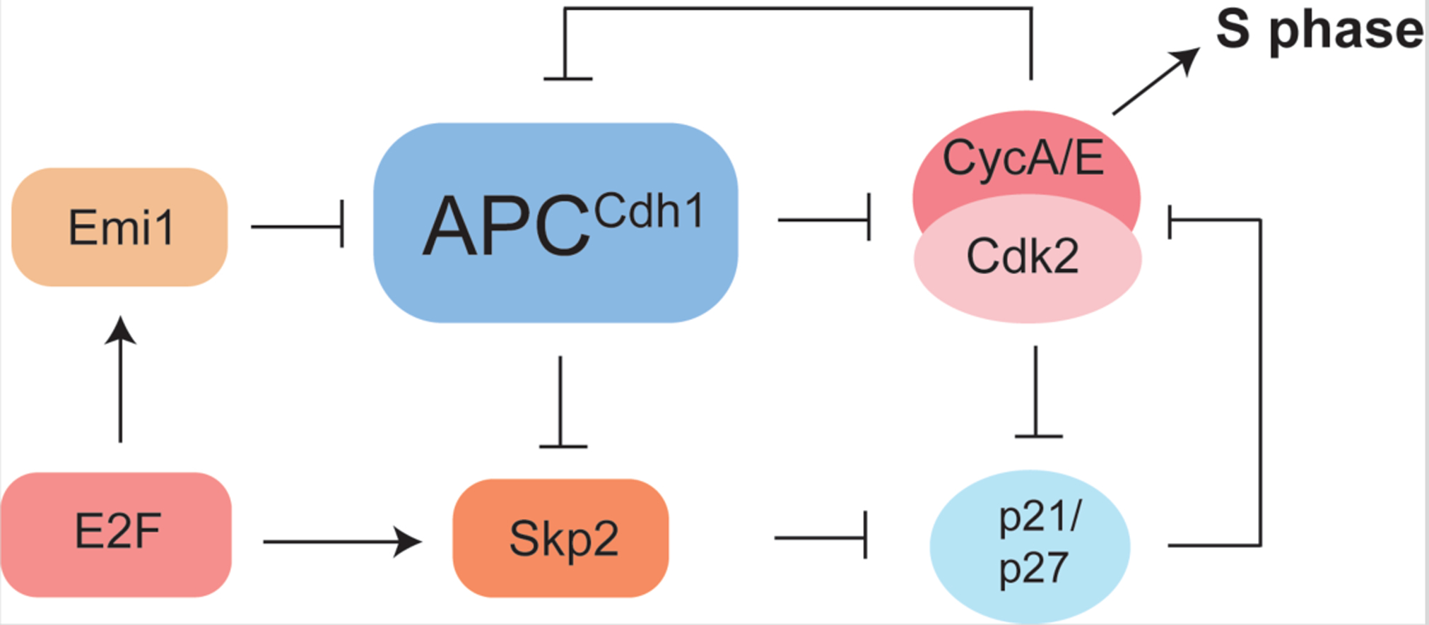 Figure 3: