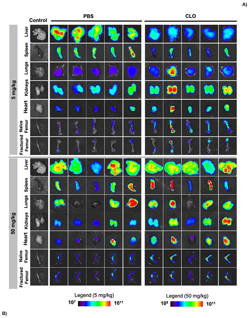 Figure 4: