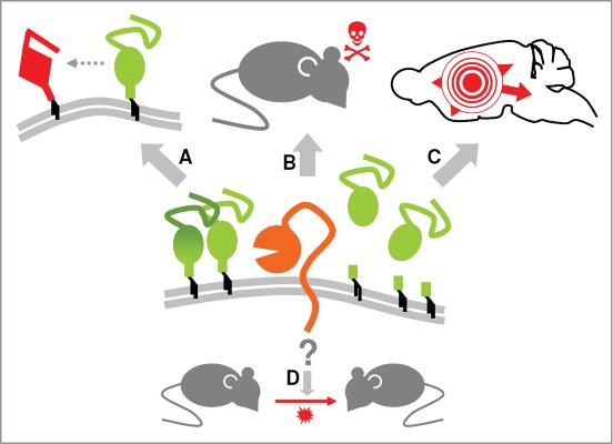 Figure 1.