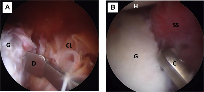 Fig 5