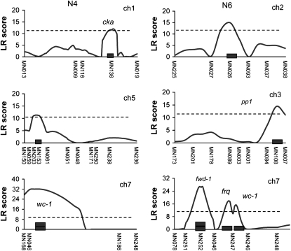 Figure 3.—