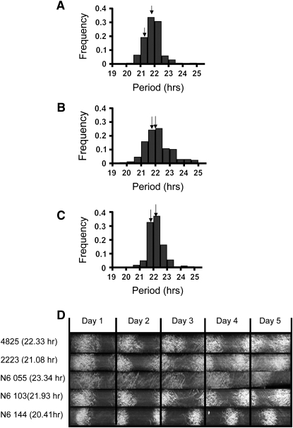 Figure 1.—