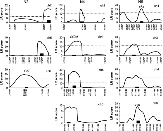 Figure 4.—