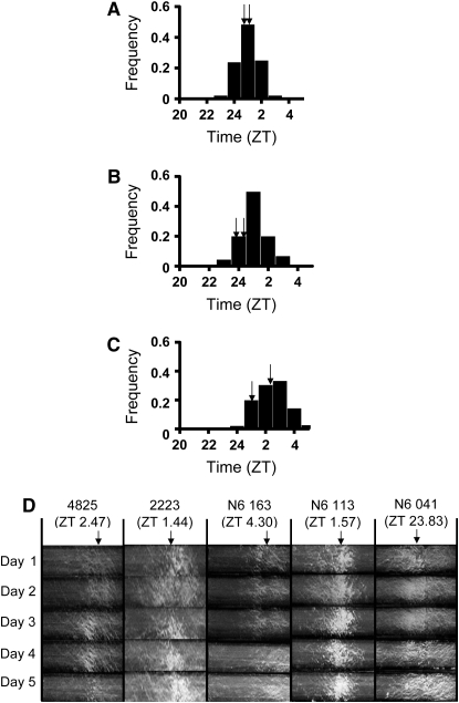 Figure 2.—