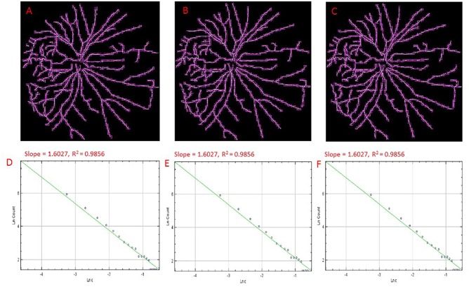 FIGURE 3