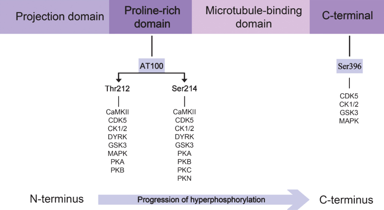 Fig.4