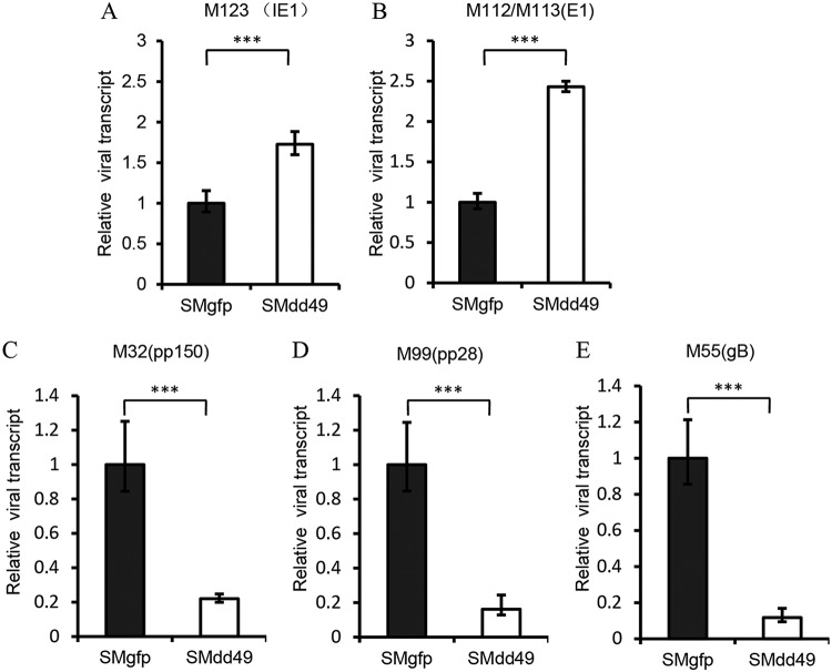 FIG 4