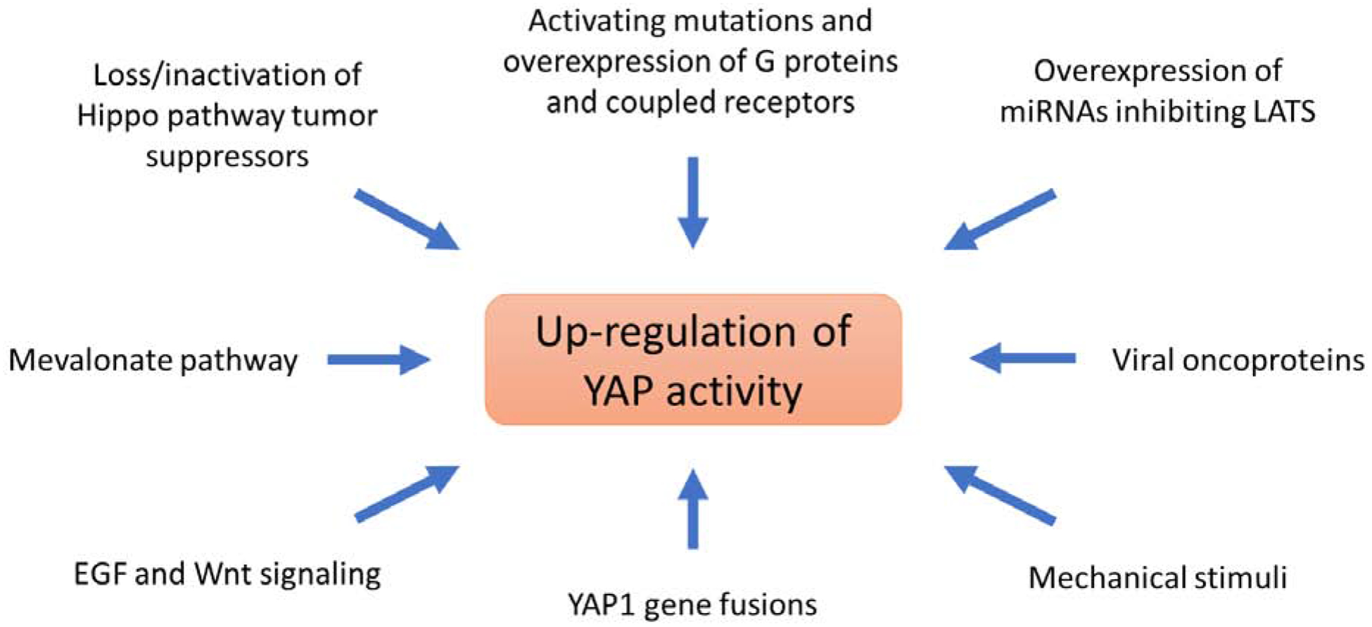 Figure 3 –