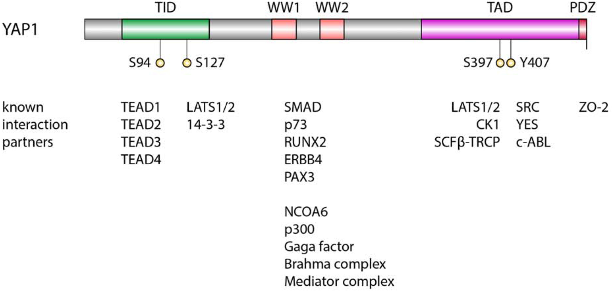 Figure 1 –