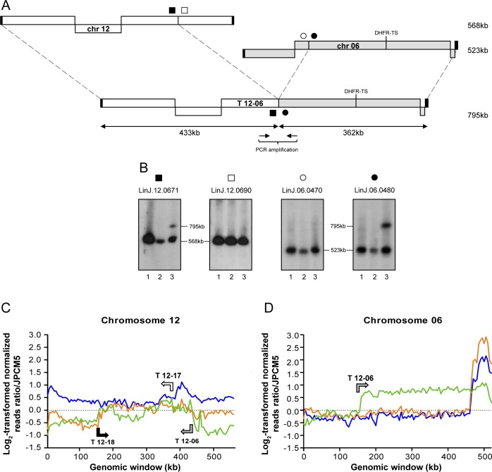 Fig 3