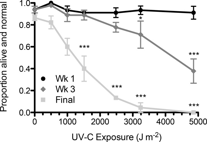 Fig. 8.