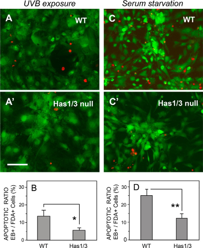 FIGURE 4.