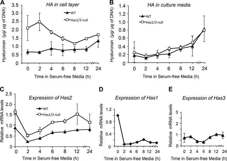 FIGURE 3.