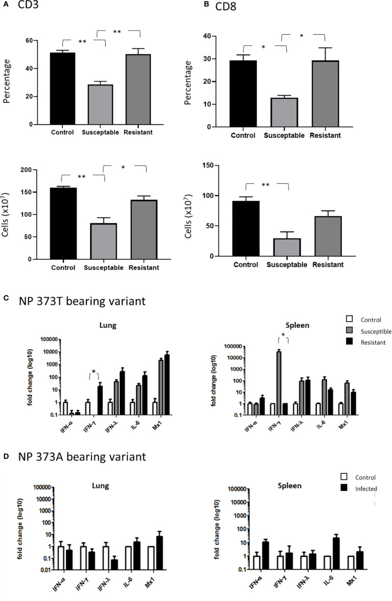 Figure 6