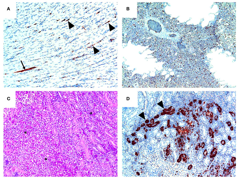 Figure 5