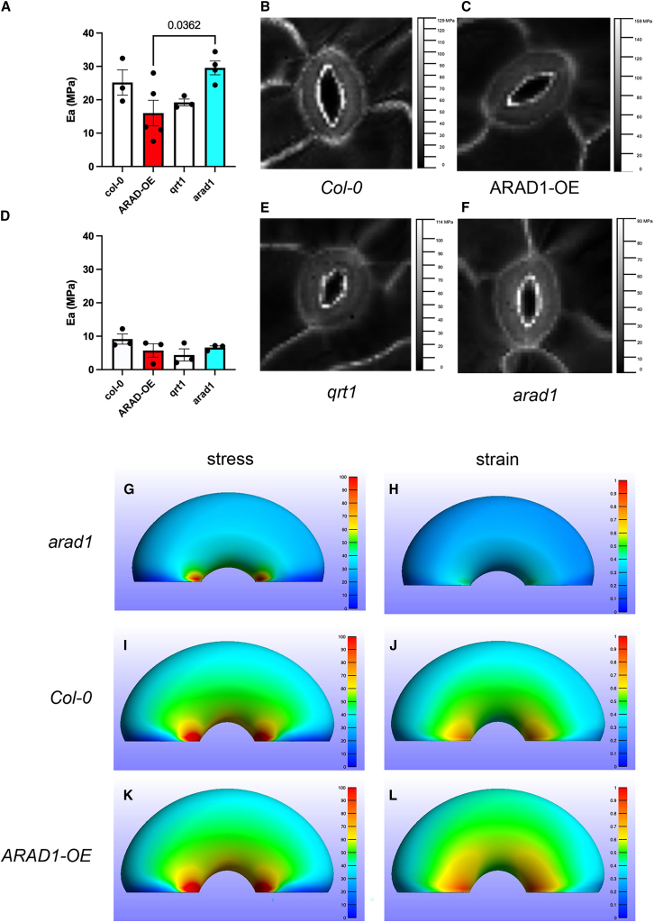 Figure 4