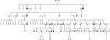 Figure  3