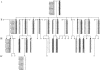 Figure  2