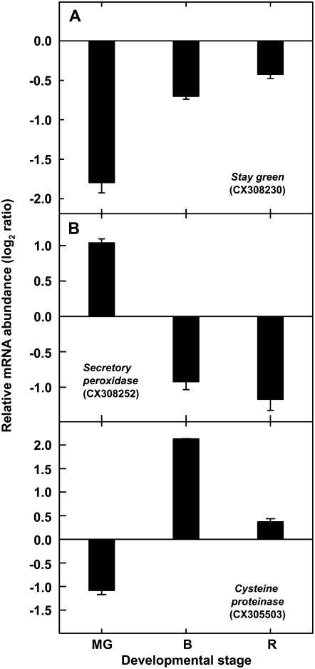 Figure 5.