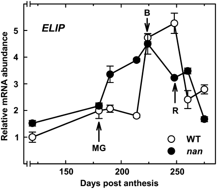 Figure 7.