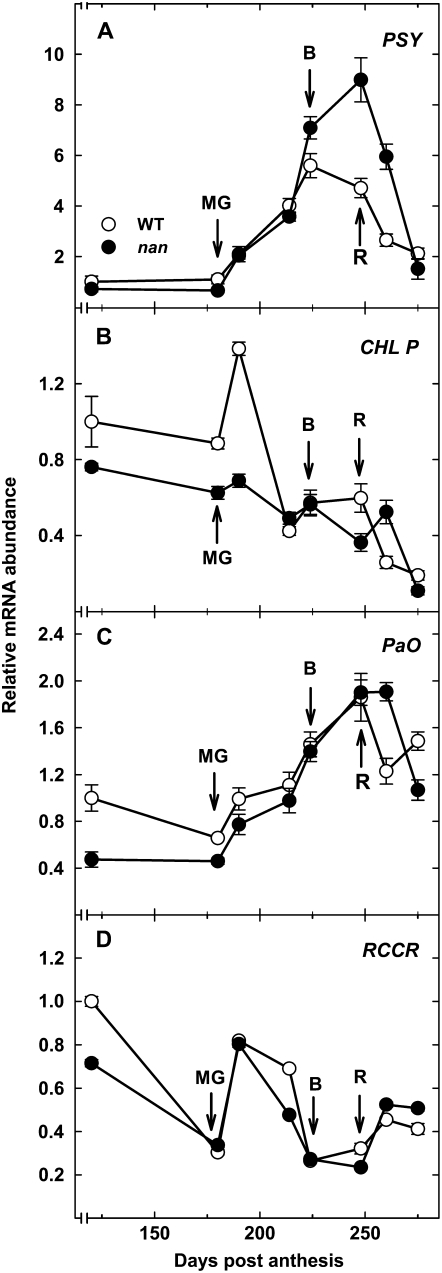 Figure 3.