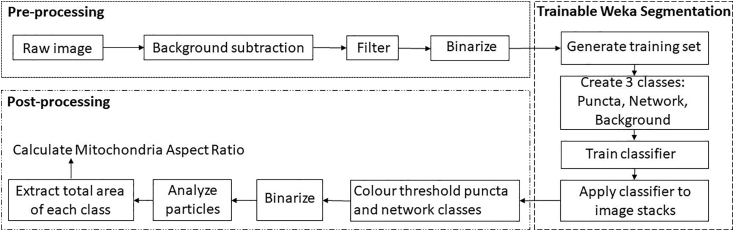 Figure 2