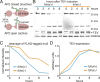 Figure 3—figure supplement 1.