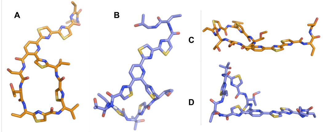 Figure 9