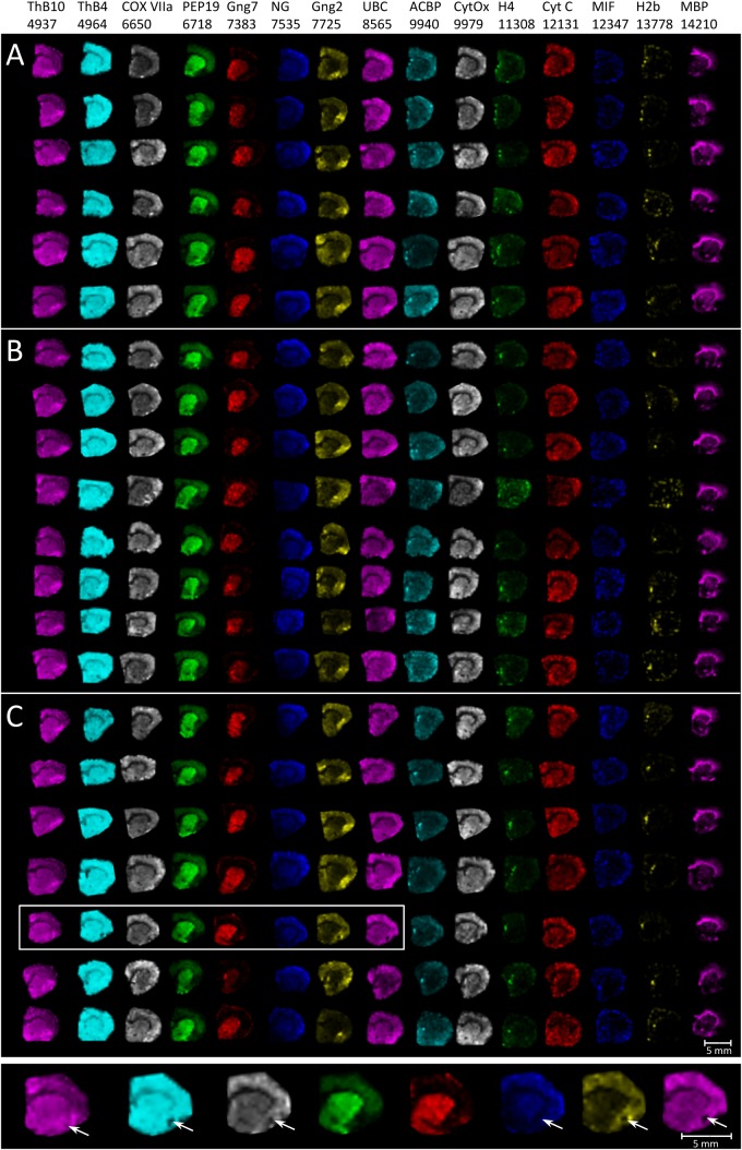 Fig. 2.