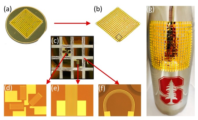 Figure 7