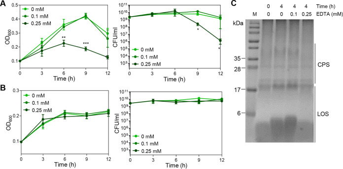 FIG 2