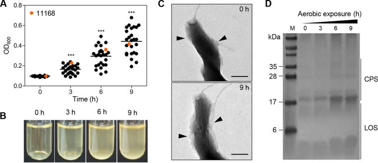 FIG 1